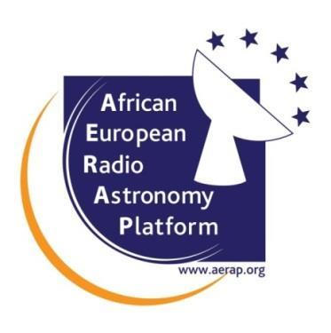 The African-European Radio Astronomy Platform Objectives Bring together key African and European radio astronomy players from policy, funding, research and industry research sectors Support