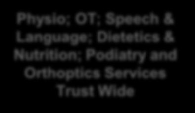 Physio; OT; Speech & Language;