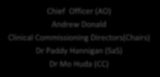 Commissioning Directors(Chairs)
