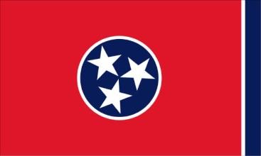 Structure benefits to appropriately incentivize the right care Tennessee CHOICES: TennCare managed care organizations are responsible and at-risk for providing the full continuum of LTSS services,