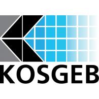 existing KOSGEB support, ensuring that SMEs produce quality and efficient goods and services, encouraging general business development