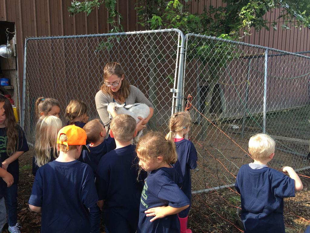 The students were able to feed some ducks, chickens and pigs, learn about gardening, taste vegetables, pick herbs, and enjoy a picnic lunch. The weather was wonderful and a fun day was enjoyed by all.