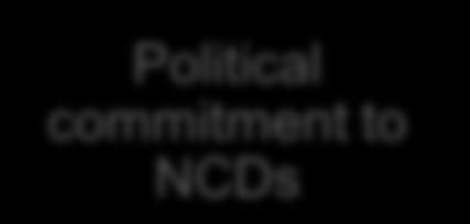 Political commitment to NCDs