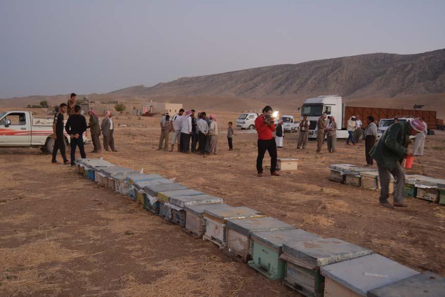 Locals in Sinuni arrive early to obtain their new beehives supplied by UNDP, and learn techniques to maintain the hives and develop small businesses.