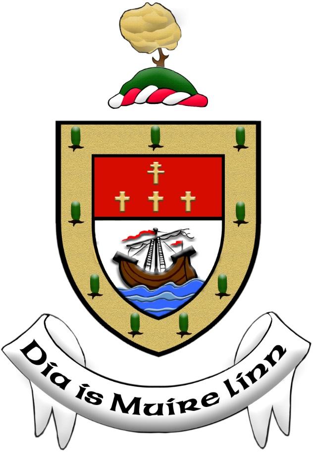 MAYO COUNTY COUNCIL ADOPTED BUDGET TABLES PAGE SECTION 1 ANNUAL BUDGET 2019