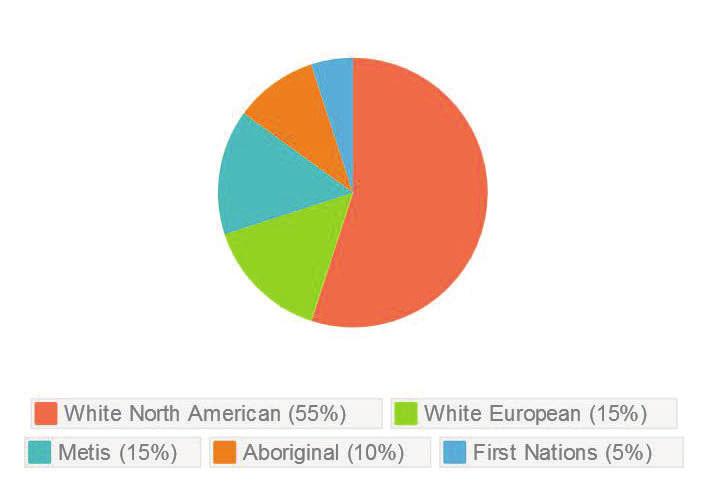 Ethnicity As depicted in the chart below, the majority of North Simcoe Health Link clients are white North Americans, eleven at (55%), followed by three white Europeans (15%), three Metis (15%), two