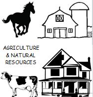 agriculture, leadership ability, involvement and