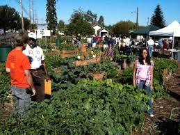 Pierce Conservation District Urban agriculture and community gardens program.