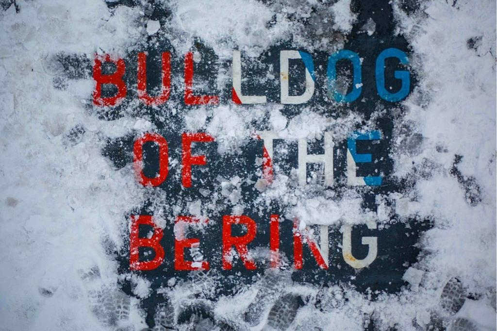 1 2 1 The Bulldog of the Bering is no stranger to the harsh, Alaskan weather.