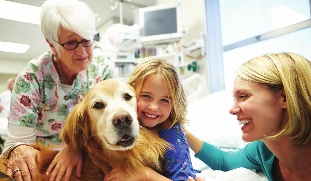 Pet Therapy Visits with a pet from the Animal Assisted Therapy can be scheduled. If your child is interested in a visit from a pet, ask your child s care team.