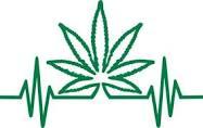 WE ARE NOW OFFERING MEDICAL MARIJUANA A patient can be certified to use medical marijuana if they suffer from: Epilepsy / Seizures Parkinson Disease Multiple Sclerosis (MS) Post-Traumatic Stress