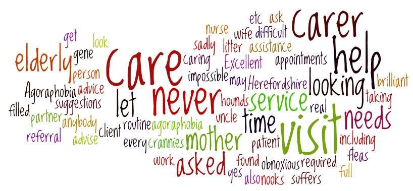 Wordle Are you a Carer? Key Themes Are you a Carer? 508 responses, (only 44 applicable), 13 comments, 3.