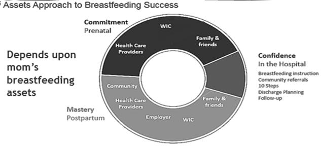 Confident Commitment Preliminary Outcome Data Possible impact on exclusive breastfeeding rates among participants Intervention may be more effective among African American women Possible impact may