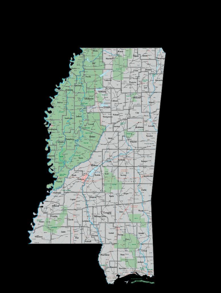 Background Information The Mississippi Delta Pervasive health problems Overweight and obesity levels