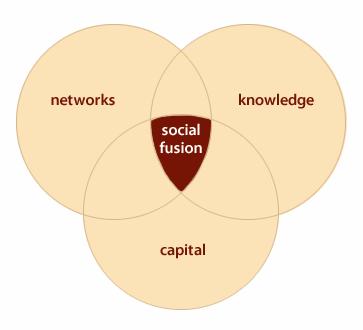 Social Fusion Harvard B School Social Fusion works with local and global social entrepreneurs that