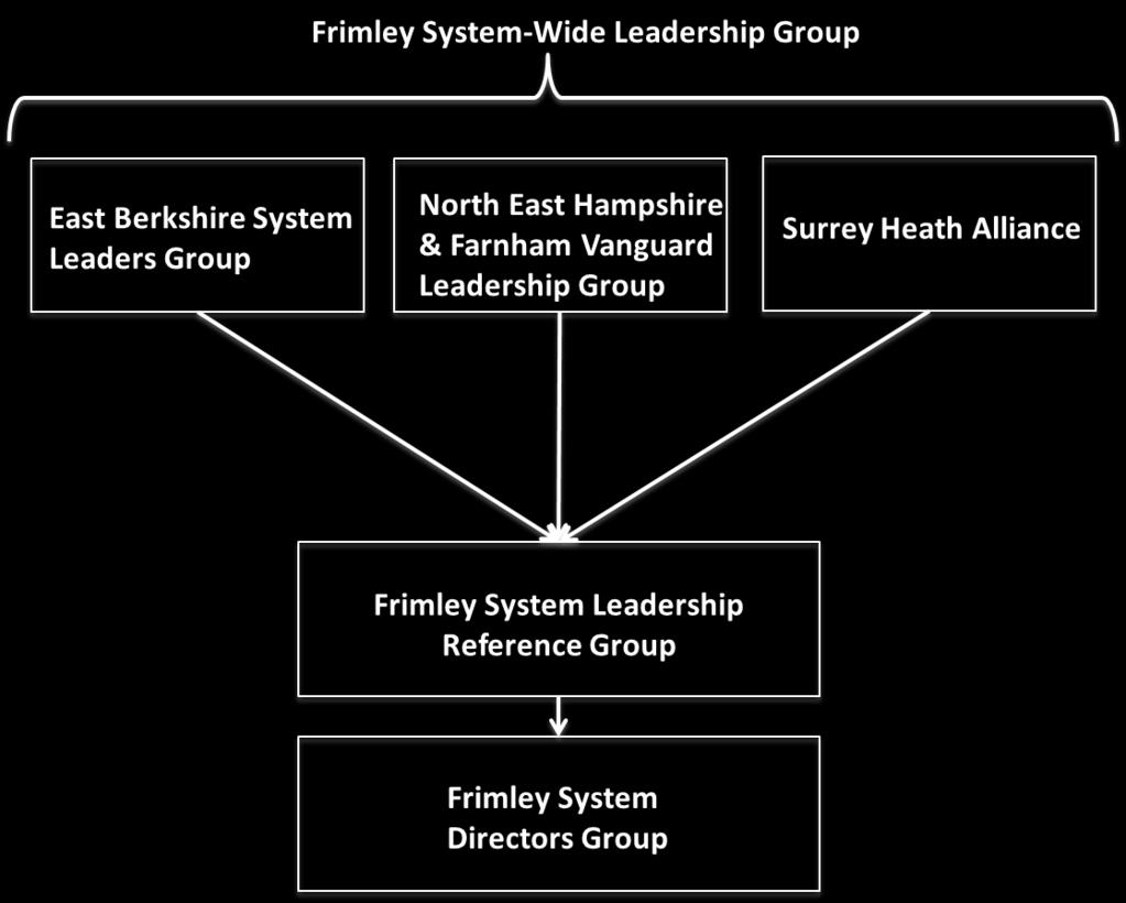 Current leadership, governance & engagement We have 3 well established local system leadership groups East Berkshire System Leadership Group North East Hampshire and Farnham Vanguard Leadership Group