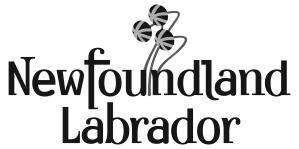 GOVERNMENT OF NEWFOUNDLAND AND LABRADOR ARTS AND LETTERS AWARDS 2016 The aim of the annual Arts and Letters Awards is to stimulate creative talent in the Province by awarding prizes in various