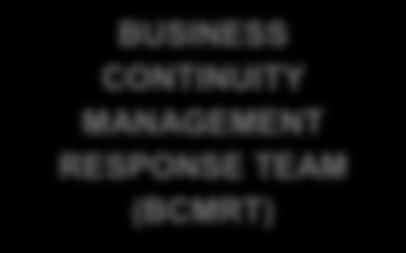 details Department Manager (Notifying Manager) Minor Business Continuity Incident