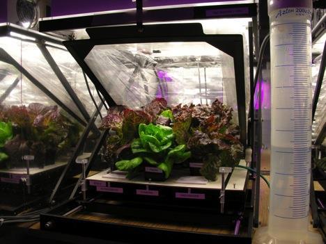 Farming in Space Aboard the International Space Station, there is a deployable freshfood production system called VEGGIE.