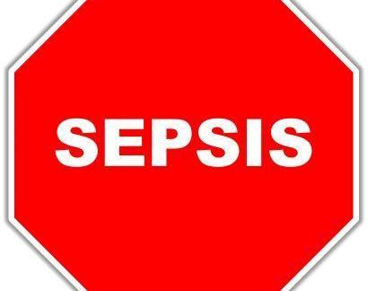 Does timing matter for the earliest and most basic elements of sepsis care? 1.