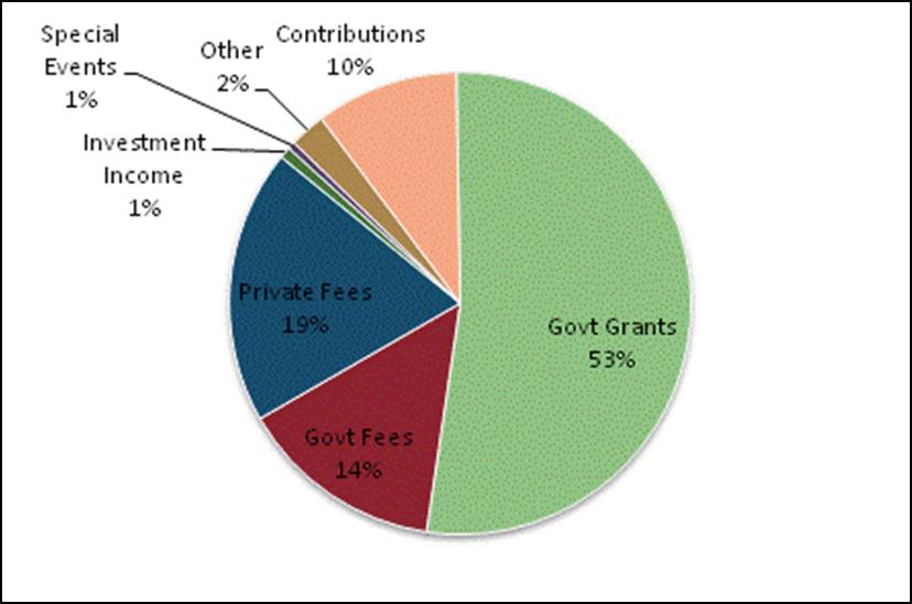 Alaska Public Charities Composition of Revenues 2003 vs 2007