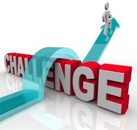 IV. Challenges, Achievements and Way Forward 1.