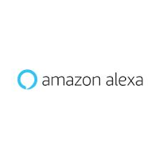 Amazon Alexa project Customer discovery for voice-triggered applications Additional session led by a technical mentor from Amazon Opportunity for extra