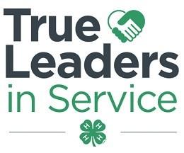other adults involved in 4-H; hear a motivational speaker; participate in workshops, a community service project, Make and Take activities, silent auction