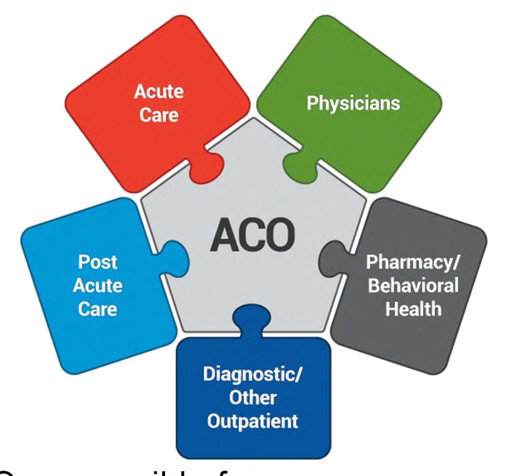 ACO Structure Infrastructure (Provided or Contracted ACO Operations) Information Technology EMR, CPOE, PACS Data warehouse Reporting HIE Web portal ACO responsible for: Clinical care management