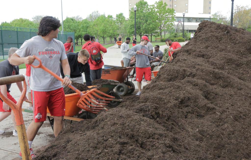 SPRUCING UP BUCKEYE GROVE Defeated in the Football Spring Game, members of the Gray Team spent three hours cleaning and landscaping Buckeye Grove, the