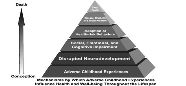 Adverse Outcomes of Childhood Maltreatment Somatic reactions Substance abuse Sexually transmitted infections (STIs) Sexual dysfunction Eating disorders Persistent patterns of fear and anxiety