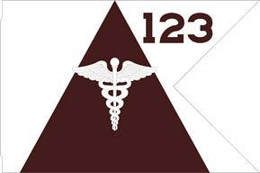 6 20. Numbered medical laboratories, numbered medical materiel centers The guidon is white with a maroon triangle starting at the bottom edge of the guidon with the apex near the vertical center.