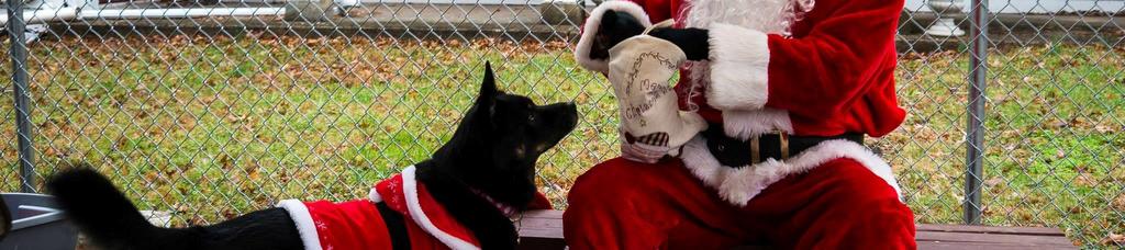 Dog Park Halloween Costume Contest and Santa Paws, the