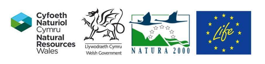 How has the formation of Natural Resources Wales affected the project?