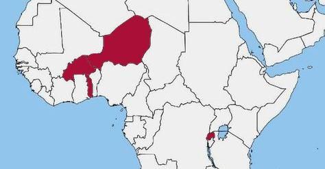 Project achievements since 2008 4 intervention countries: Burkina Faso Niger Togo Rwanda
