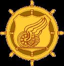 branch-specific insignia and