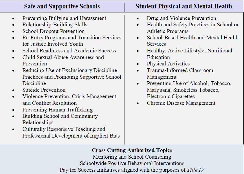 ALLOWABLE ACTIVITIES SAFE AND HEALTHY STUDENTS: ESEA SECTION 4108