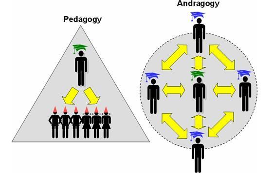 Andragogy Malcolm Knowles Self-directed learning The learner should be