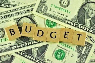 Budget Program Operating Costs Member Costs