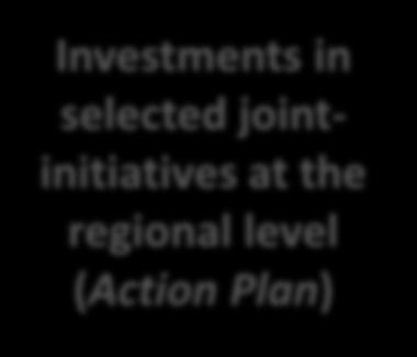Strategic Objectives The Western Balkans R&D Strategy for Innovation (Strategy) Advocacy of Reforms