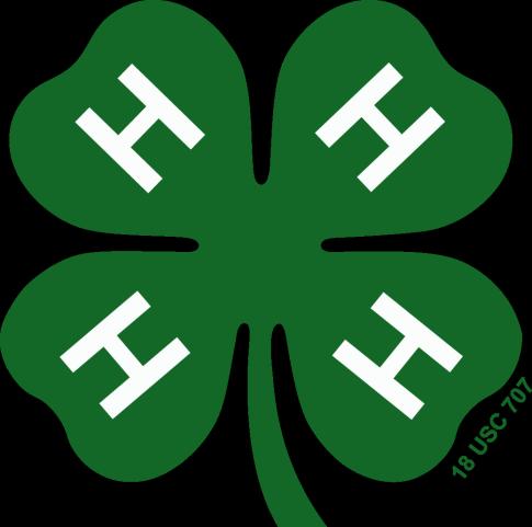 Kingfisher County 4-H Greenflash December 2015/January 2016 In this Issue 4-H