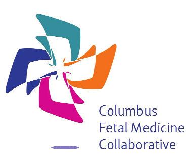 Improving Pregnancy Care and Ensuring Better Birth Outcomes As is the case in many communities, infant mortality in Franklin County is a serious health concern, and strategies are needed to improve