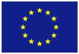 Acknowledgement of EU funding (Article 38.1.