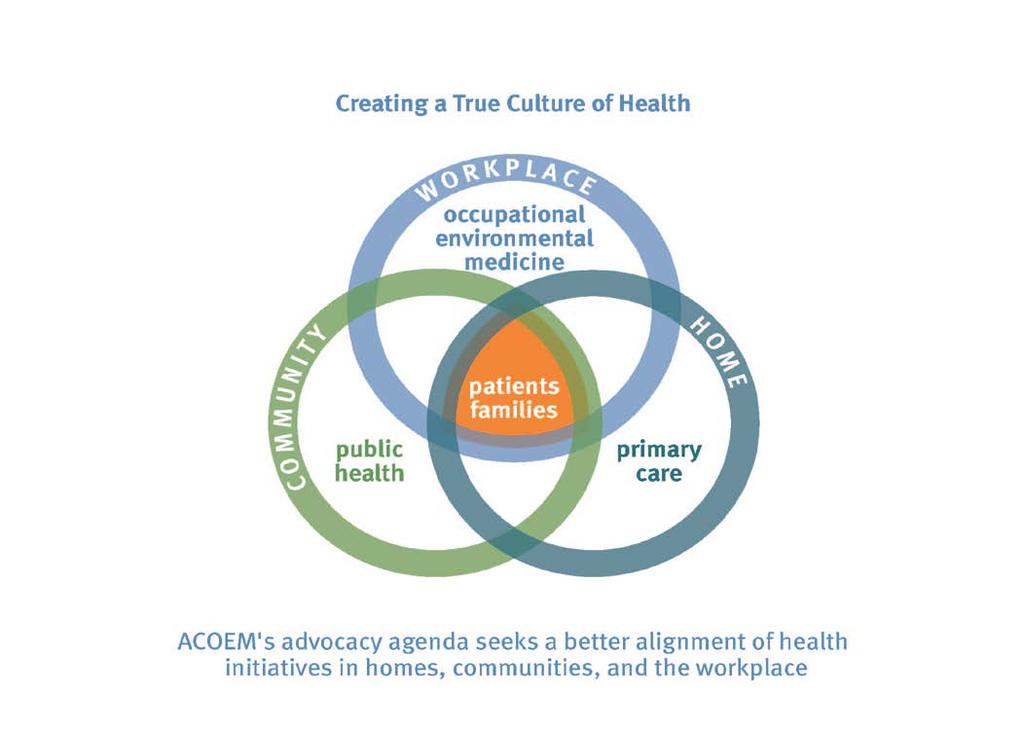 Step 9: Integrate with Primary Care OEM: a parallel public health and health care delivery system?