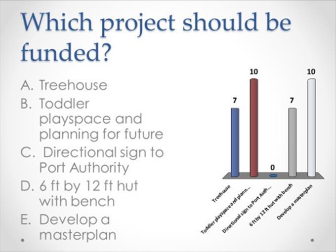 Finally, as a result of the voting on each of the projects within the major initiatives, the top projects were then voted on.