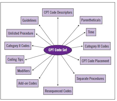 CPT Code Reporting Aids CPT Assistant,
