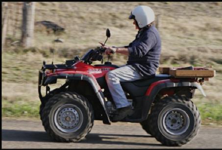Multiuse Roadway Safety Program Purpose: To increase opportunities for safe, legal, and environmentally acceptable motorized (all-terrain vehicles) recreation on public roads.