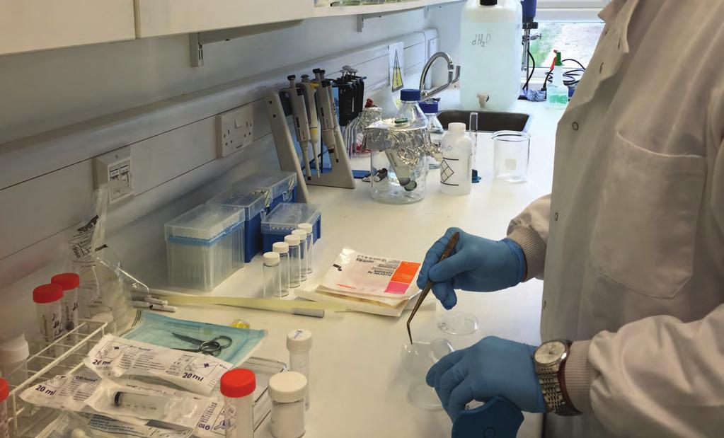 In focus: Scar Biobank Scar Biobank improving healing The Scar Biobank at Queen Victoria Hospital will help scientists and doctors work towards improved healing for the millions of people affected