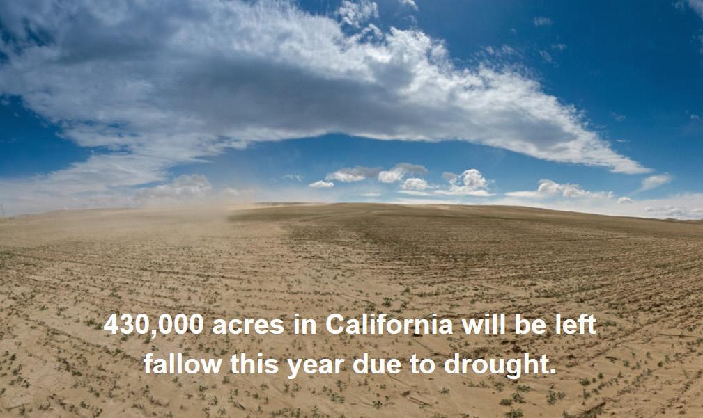 Water Policy Support Priority REQUEST SUMMARY: Support for Federal legislation and funding to assist the San Joaquin Valley in dealing with continuing drought conditions, that, coupled with Delta