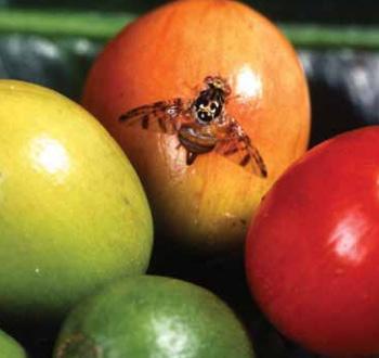 pests and diseases. There is a great need to use consistent and adequate federal funding to support efforts to discover new pests and diseases that impact agriculture.